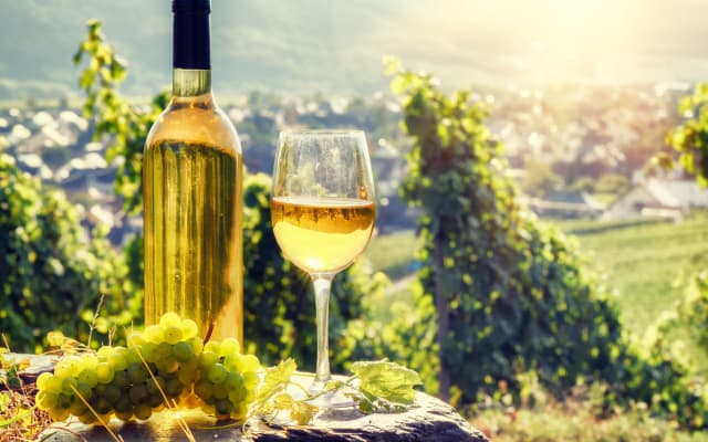 Grands Crus Alsace Wine Trip From Mulhouse (Private) 