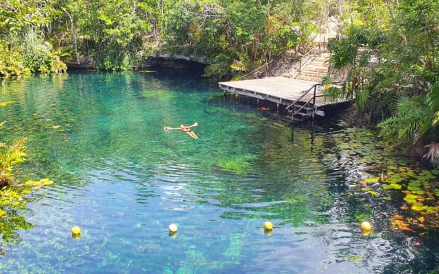 Mayan Expedition with 4 Cenotes, Zip-Lines & Mayan Lunch