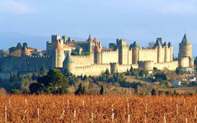 Carcassonne Guided Walking Tour (private)