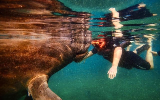 Florida Adventure Tour