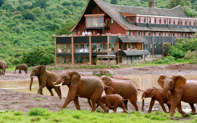 3 Days Aberdares Safari