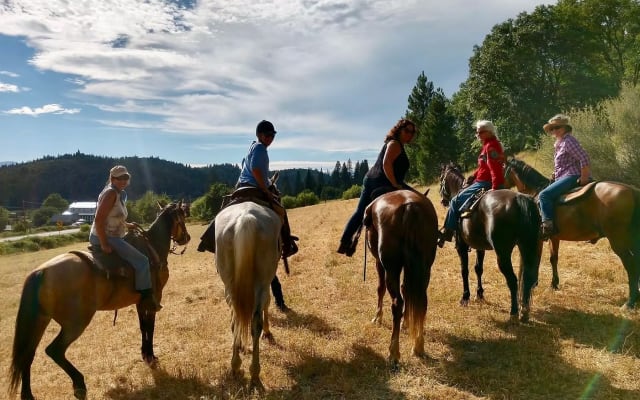 1 Hour Horseback Riding Lesson near Sacramento
