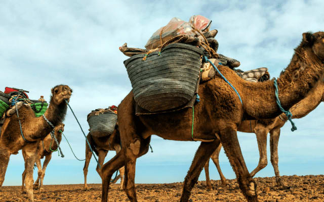 Marrakech to Merzouga Desert: 4-Day Trip.
