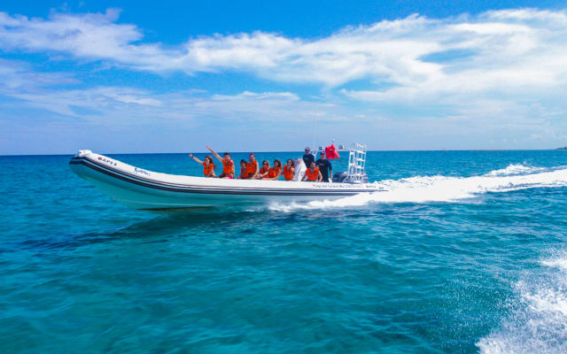 Cozumel Snorkeling Tour