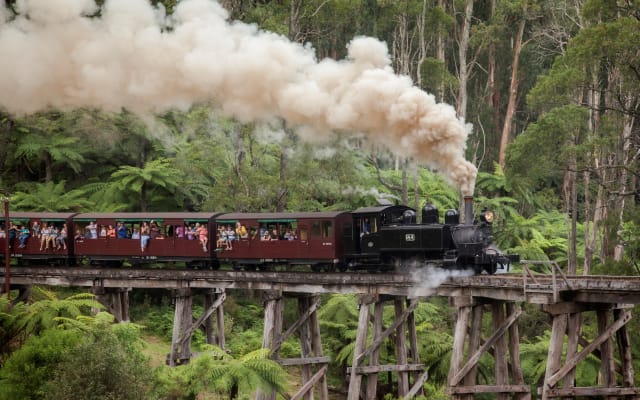 Puffing Billy Half-Day Tour from Melbourne