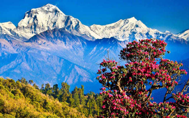 Dhulikhel Day Tour