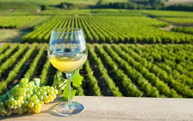 Loire Valley Wine Tour Full Day Trip from Tours (private)