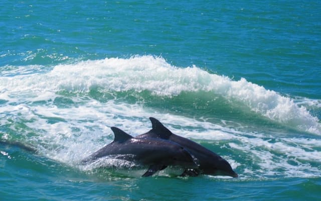 Clearwater Beach 