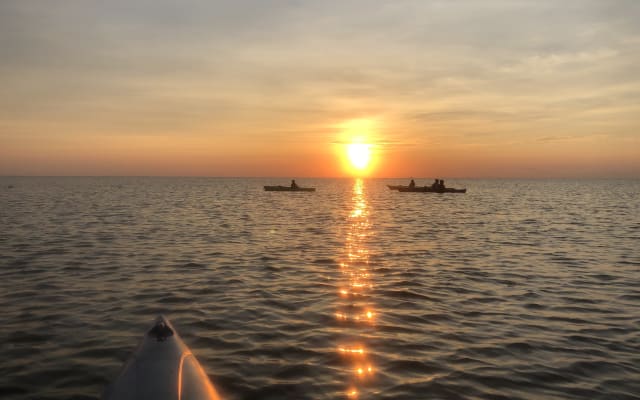 Eastern Shore National Wildlife Refuge Kayak Tour
