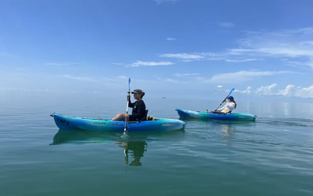 Kayak the Seagrasses of Stiltsville