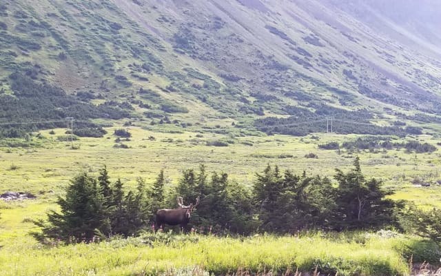 Chugach Mountain Bike Tour