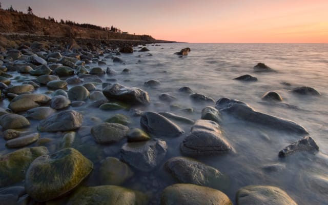 Hopewell Rocks Express Tour from Moncton