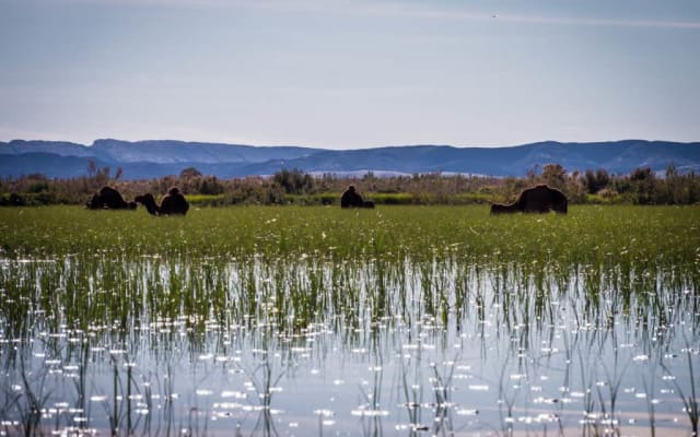 6 Days Morocco tour from Casablanca