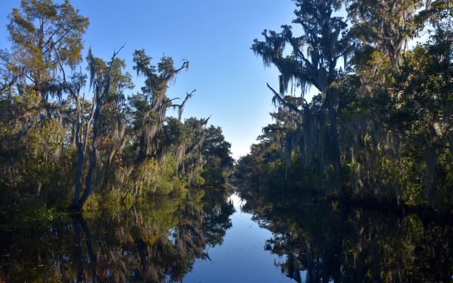 New Orleans Large Airboat Ride