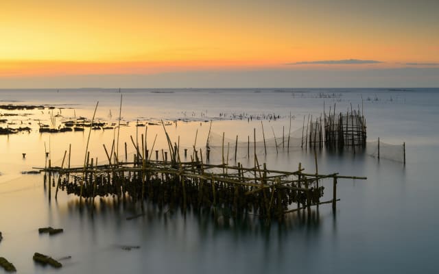 Arcachon Bay Discovery Private Full Day Tour From Bordeaux
