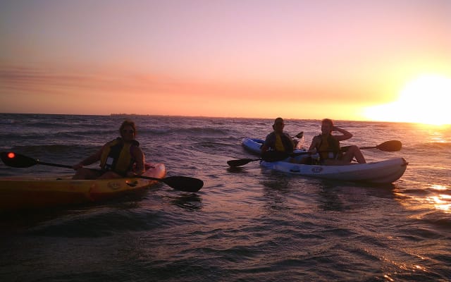 Guided Sunset Kayak Eco Tour of Pelican Bay