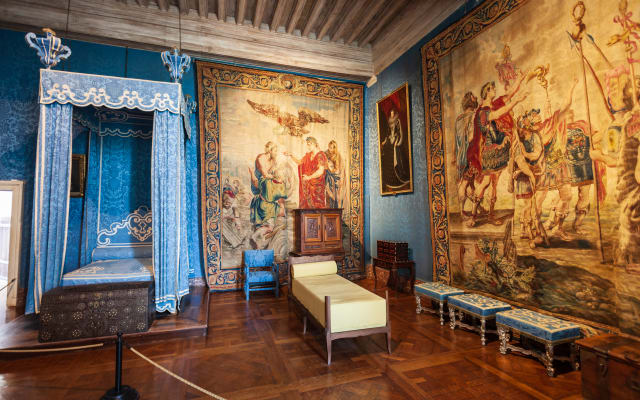 Chambord Castle A Half Day Trip from Tours (private)