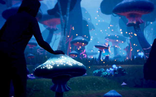 Waking Wonderland