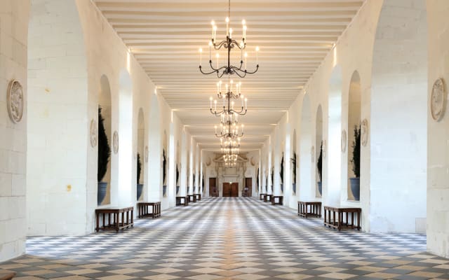 Chenonceau Castle A Half Day Trip from Tours (private)