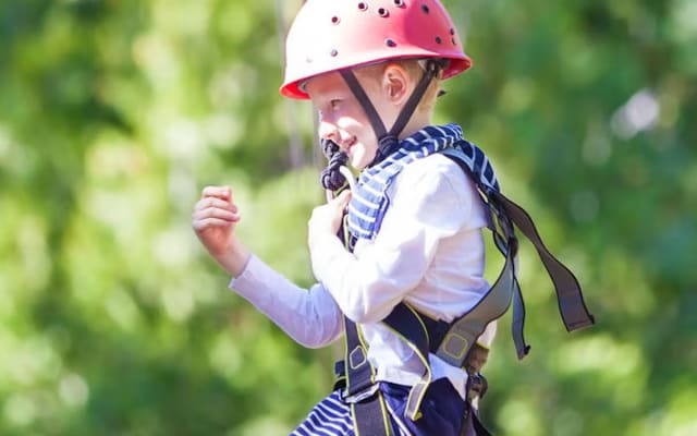 6-Line Zipline Adventure Tour
