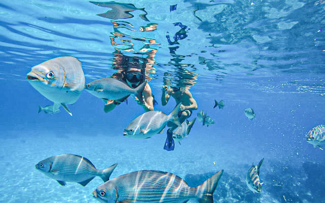 Private Dream Cozumel Island Snorkeling