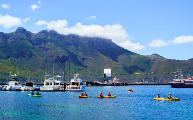 2 Hour Hout Bay Kayak Adventure