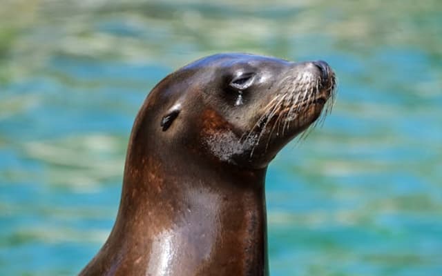 Emirates Park Zoo - Abu Dhabi 