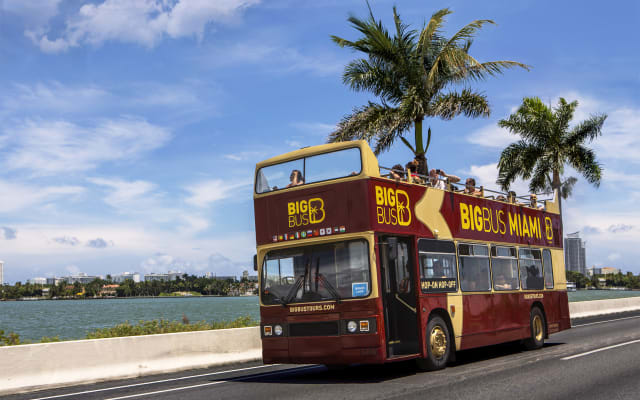 Miami Combo: Sightseeing Boat Cruise & Open-top Bus Tour