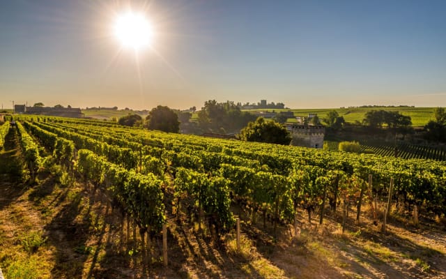 4 Days Bordeaux Wine Tour Travel Package (shared)