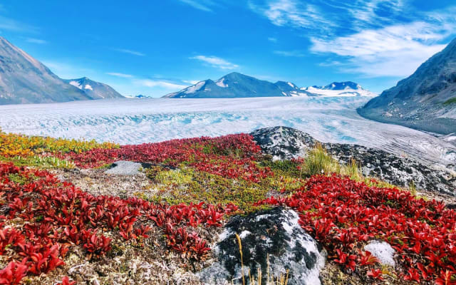 5-day Kenai Mountains & Glaciers Base Camp