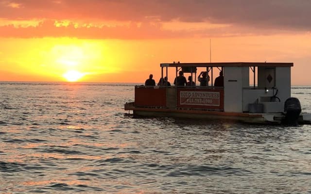 Sunset and Dolphin Cruise