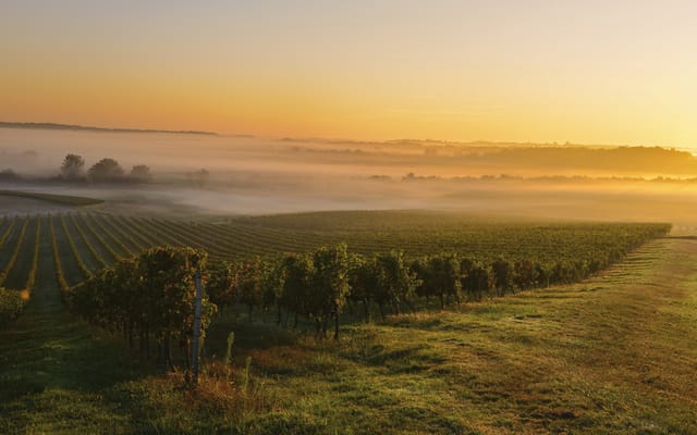 Médoc Wine Tour Full-Day Small Group Tour from Bordeaux