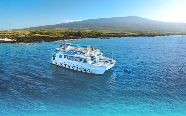 Deluxe Snorkel BBQ & Dolphin Watch