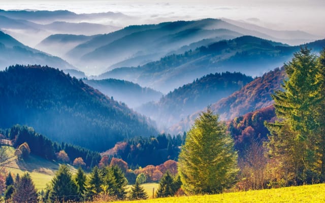 Freiburg & Black Forest Trip from Mulhouse (private)