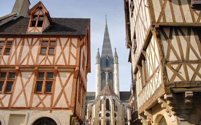 Dijon Guided Walking Tour (private)