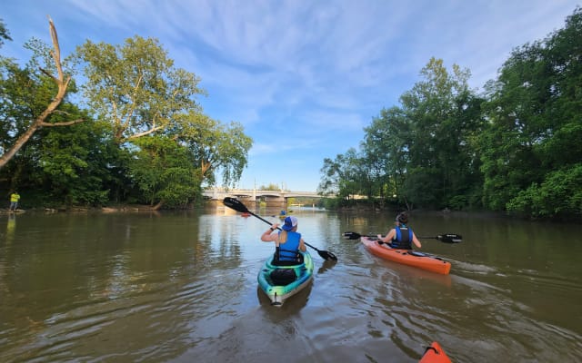 Kayak Rentals