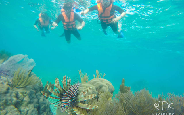 Private Reef Snorkeling, 3 Cenotes, 5 Zip-lines, Mayan Lunch