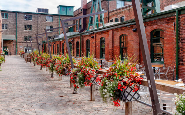 Toronto City Tour 
