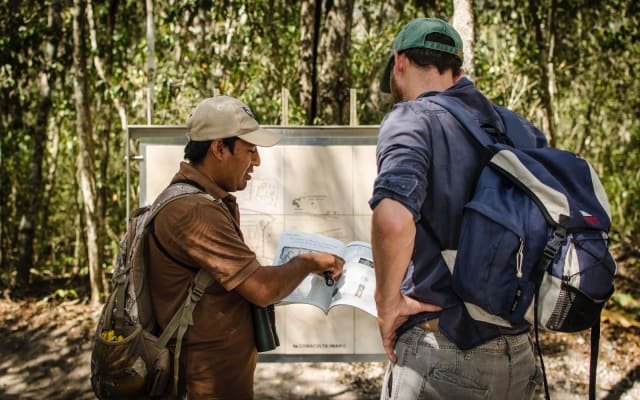 Calakmul Ancient Maya city from CHETUMAL or BACALAR