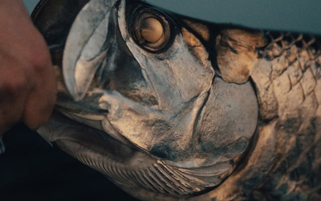 Full day fly fishing charter