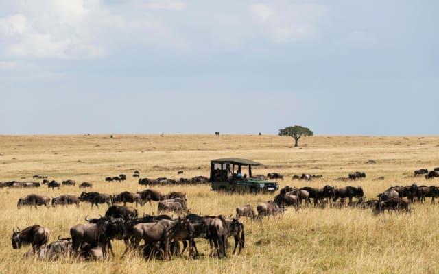 5 Days Safari + Lakes