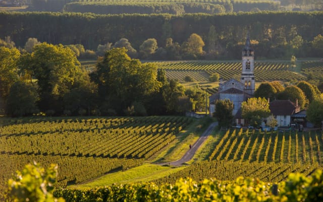 Graves & Sauternes Wines from Saint Emilion (private)