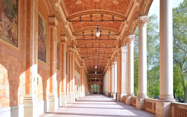 Germany Day Trip with Baden-Baden & Black Forest from Strasbourg
