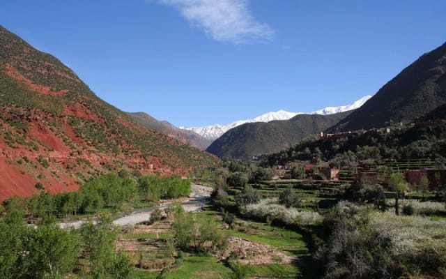 ourika valley day trip including camel ride