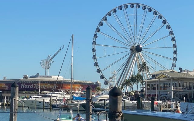 Miami: 90-Minute Skyline & South Beach Millionaire Homes Cruise & Hard Rock Meal