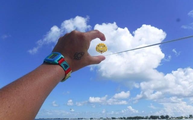 Parasailing Adventure