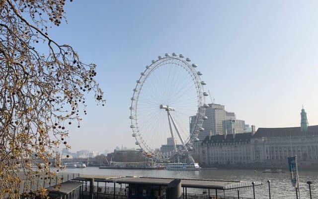 London in A Day Private Car Tour