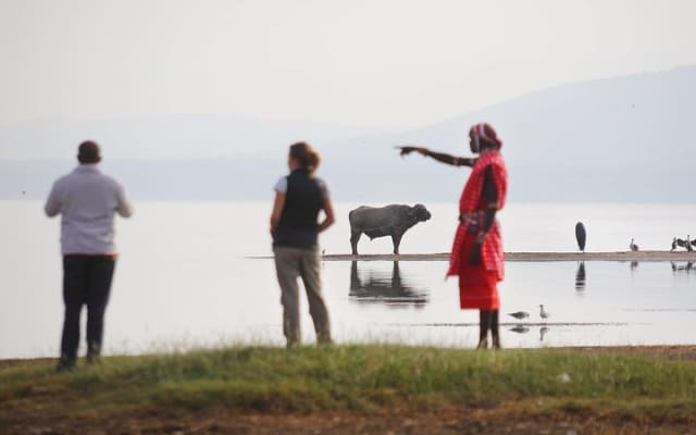 2-Day Flamingo & Rhino Safari at Lake Nakuru