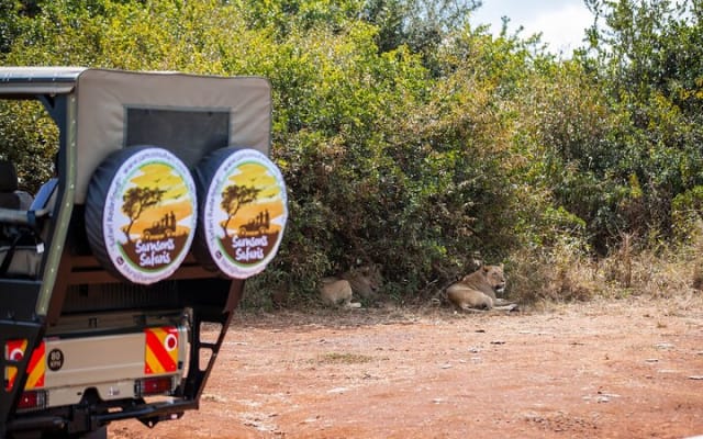 Sunrise / Sunset Game Viewing Drive in The Capital Nairobi