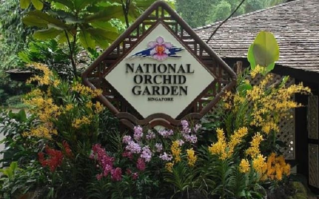 Private Half Day Singapore City Tour with Botanical Orchid Garden